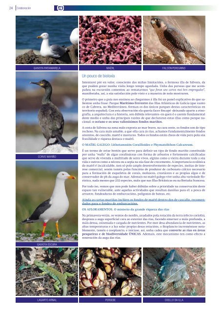 REVISTA ASINEC