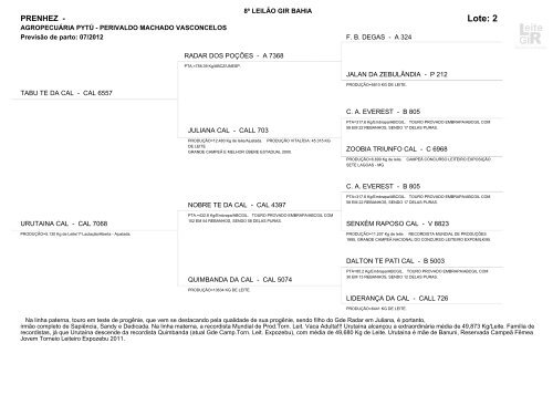 Lote: 1 - Leite Gir