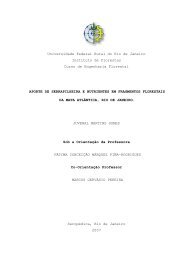 Monografia Juvenal.pdf - Instituto de florestas - UFRRJ