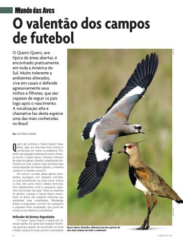 O valentão dos campos de futebol