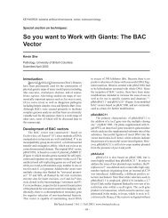 So you want to Work with Giants: The BAC Vector - Biology