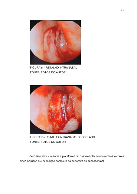 Dissertacao Dr. Fabio Maniglia.pdf - Universidade Federal do Paraná