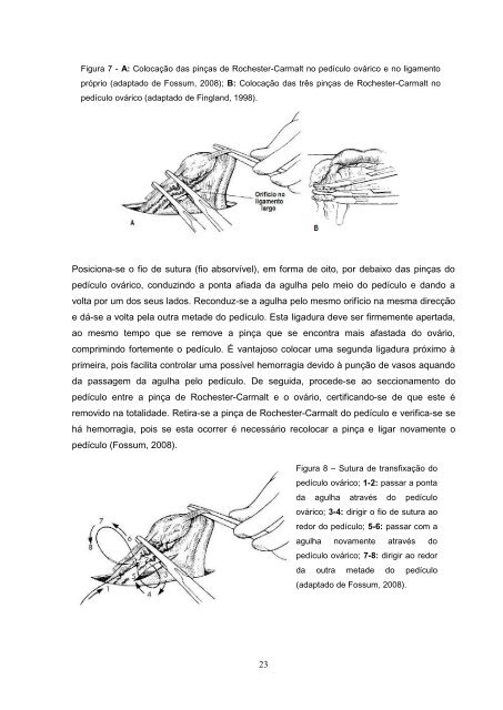 Estudo comparativo da ovariohisterectomia felina com incisao no ...