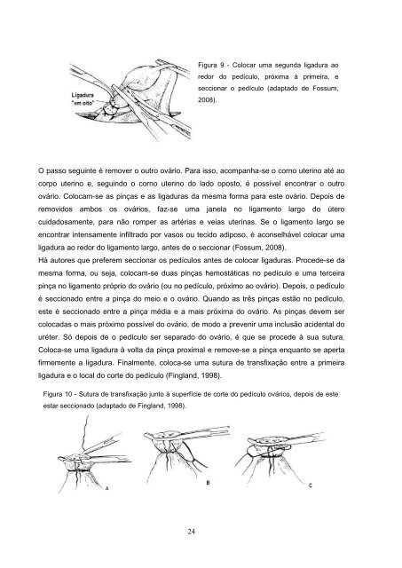 Estudo comparativo da ovariohisterectomia felina com incisao no ...