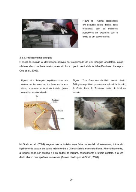 Estudo comparativo da ovariohisterectomia felina com incisao no ...