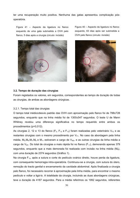 Estudo comparativo da ovariohisterectomia felina com incisao no ...