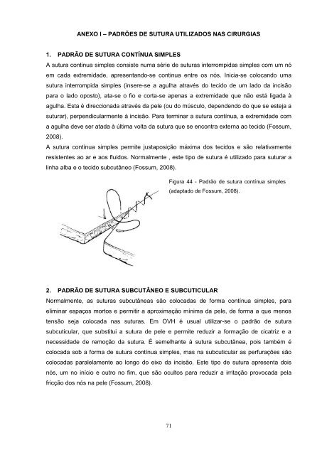 Estudo comparativo da ovariohisterectomia felina com incisao no ...