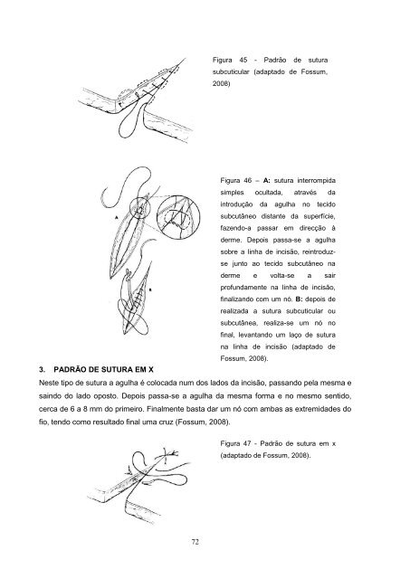 Estudo comparativo da ovariohisterectomia felina com incisao no ...