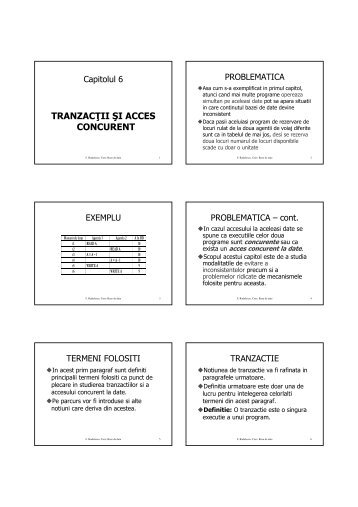 TRANZAC II ŞI ACCES CONCURENT - Baze de date