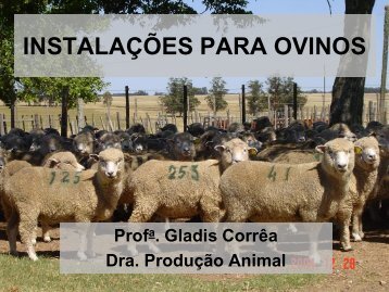 INSTALAÇÕES PARA OVINOS.pdf