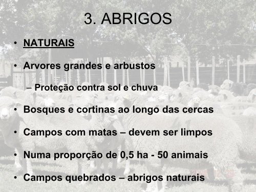 INSTALAÇÕES PARA OVINOS.pdf