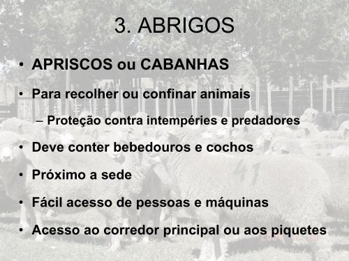 INSTALAÇÕES PARA OVINOS.pdf