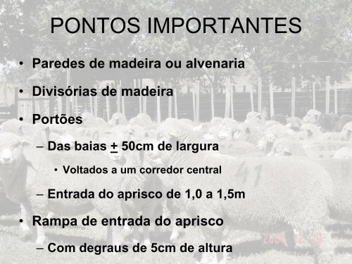 INSTALAÇÕES PARA OVINOS.pdf