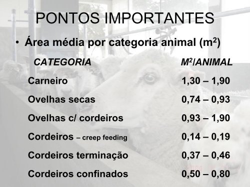 INSTALAÇÕES PARA OVINOS.pdf