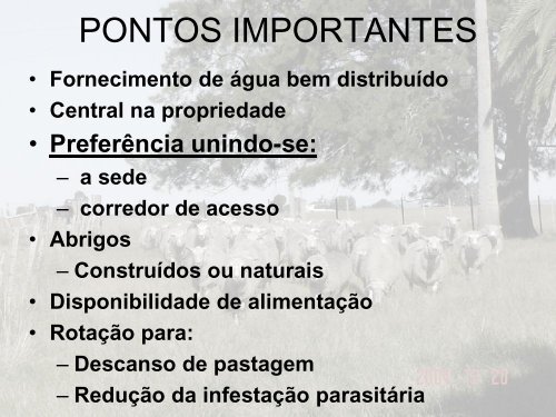 INSTALAÇÕES PARA OVINOS.pdf