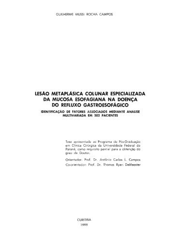 T - GUILHERME MUSSI ROCHA CAMPOS.pdf - Universidade ...