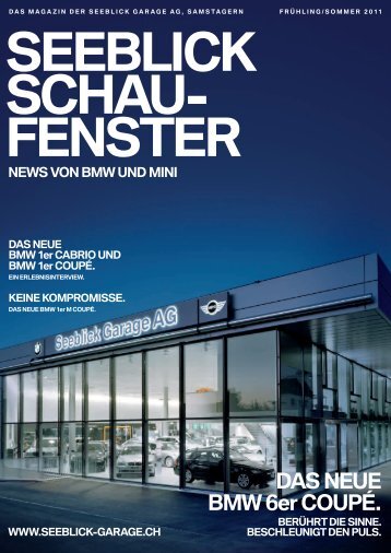 FENSTER - Seeblick Garage