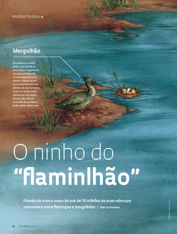 Mergulhão