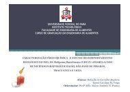 Apresentação - TCC - Universidade Federal do Pará