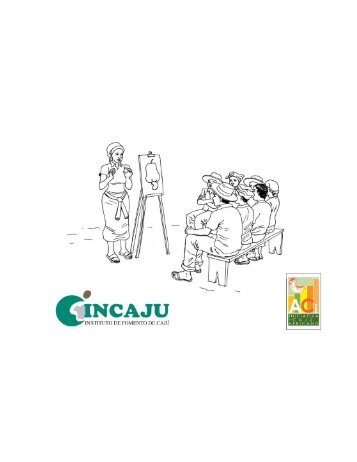 ACi_MOZ_MANUAL COLHEITA_GIZ.pdf - TECA