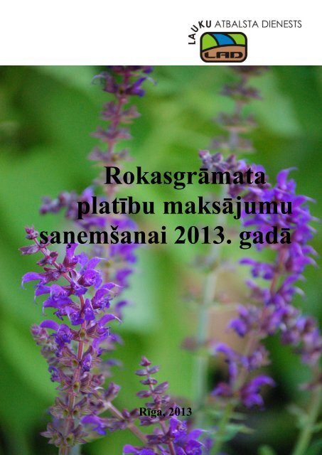 liela_rokasgramata_2013-1