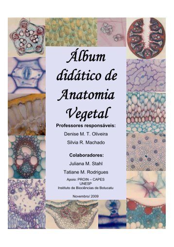 Álbum didático de Anatomia Vegetal - Instituto de Biociências - Unesp
