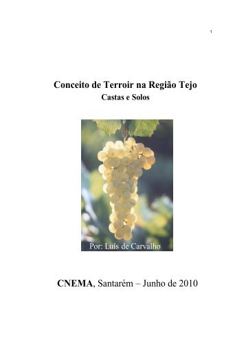 Luís Carvalho - O Conceito de Terroir na Região ... - Vinhos do Tejo