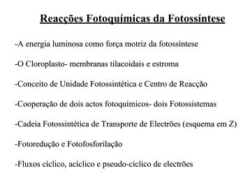 Aula de Fotoquímica