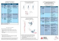 guia de bolso para exame dos pés - Sociedade Brasileira de Diabetes