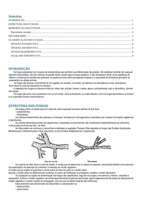 Sumário INTRODUÇÃO ESTRUTURA DOS FUNGOS - Prof Iva