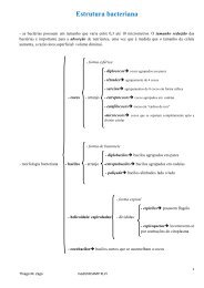 Estrutura bacteriana - Zago XLVI.pdf