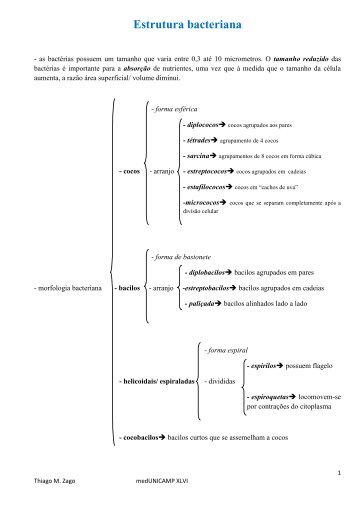 Estrutura bacteriana - Zago XLVI.pdf