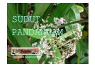 sudut pandangan - Saujana