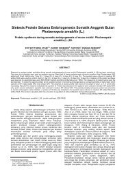 Sintesis Protein Selama Embriogenesis Somatik Anggrek Bulan ...