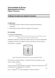 massa volumica.pdf - Universidade de Évora