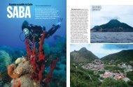 Saba Escondida no Mar do Caribe, a Ilha de Saba é para quem ...