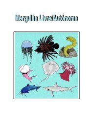 Mergulho Livre Autonomo - Marinha Americana.pdf - Mkmouse.com.br