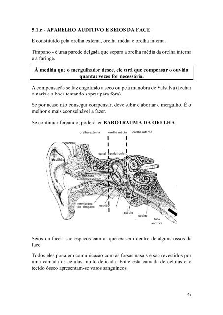 MANUAL DO MERGULHO AUTÔNOMO ... - Tempo de Fundo