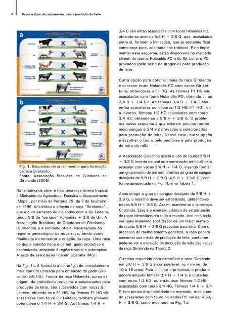 Raças e tipos de cruzamentos para produção de leite