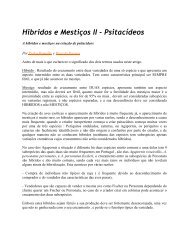 Hibridos e Mestiços II - Psitacídeos - Atividaderural.com.br
