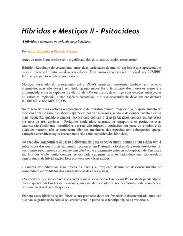 Hibridos e Mestiços II - Psitacídeos - Atividaderural.com.br