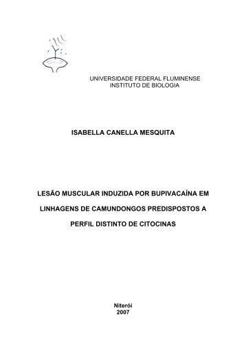 Tese de Mestrado - Isabella versao final corrigida - UFF