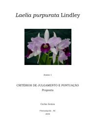 Laelia purpurata – Julgamento – (2005) - Orquidário Carlos Gomes