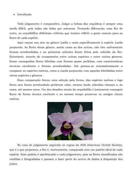 Laelia purpurata – Julgamento – (2005) - Orquidário Carlos Gomes