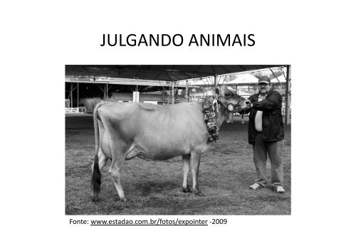 JULGAMENTO 2012-02.pdf