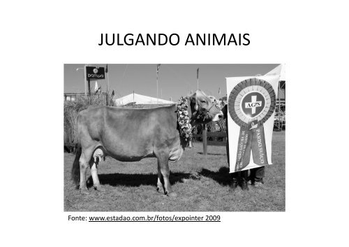 JULGAMENTO 2012-02.pdf