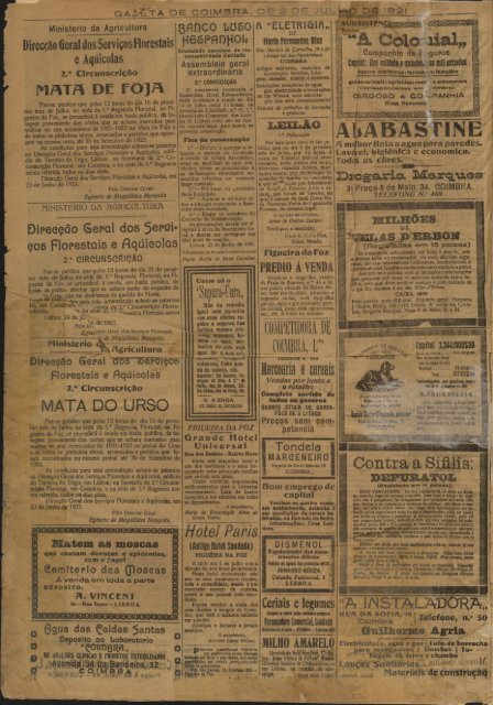 "Gazeta mm de Coimbra,, GAZETA DE COIMBRA