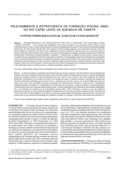 paleoambiente e estratigrafia da formação ipixuna, area do rio ...