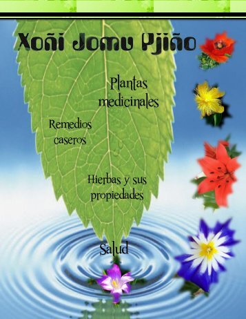 Plantas medicinales Salud