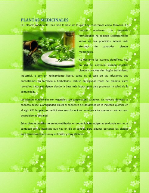 Plantas medicinales Salud